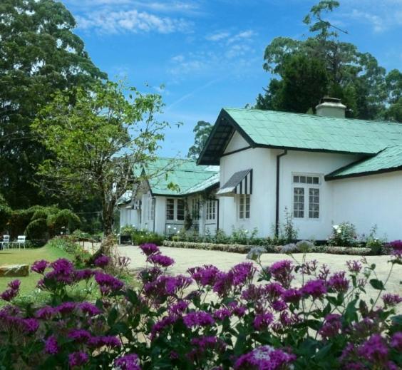 The Trevene Hotel Nuwara Eliya Zewnętrze zdjęcie